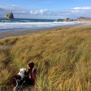 Meet your Posher, Noel